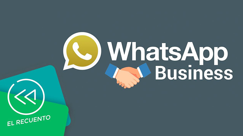 WhatsApp Business Ne Demek?