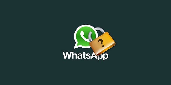 WhatsApp Kullanıcıları İçin 16 Yaş Sınırı Mı Gelecek?