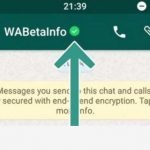 WhatsApp işletmeler için yeşil onay rozeti alma